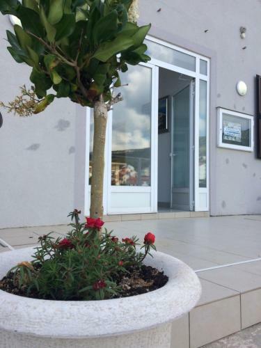 Apartments Jakov