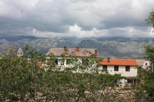 Apartment Vinjerac 6187a