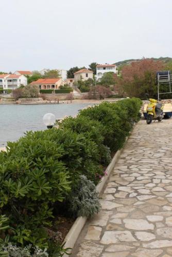 Apartment Vinjerac 6144d