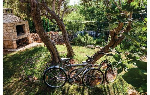 Two-bedroom Apartment In Vinjerac