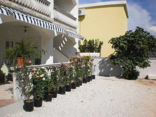 Apartment Vir 13817e