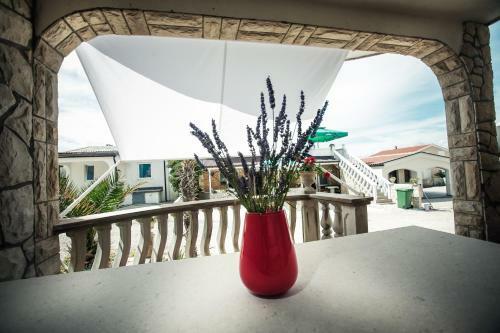 Apartments Zitna