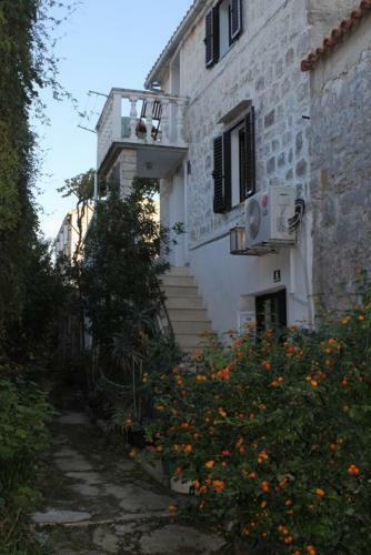 Apartment Vis 8921b