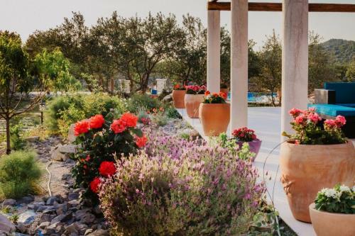 Villa Red Hacienda With Pool