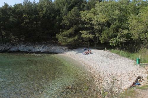 Apartment Pinezici 5440b