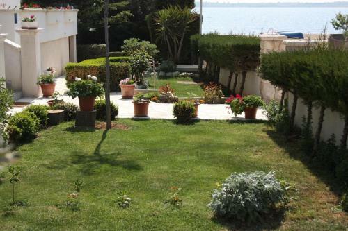 Family Friendly Seaside Apartments Vrsi - Mulo (zadar) - 6155