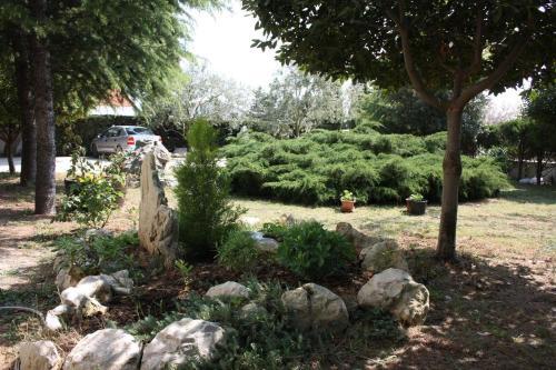 Family Friendly Seaside Apartments Vrsi - Mulo (zadar) - 6155