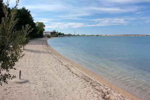 Apartment Vrsi - Mulo 5848a