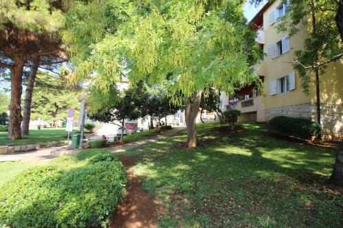 Apartment In Porec/istrien 35368