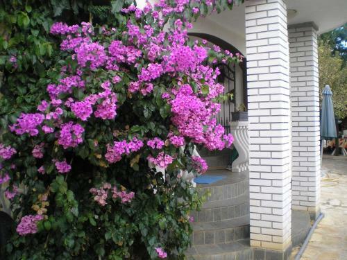 Hostal Pansion Adria Haus