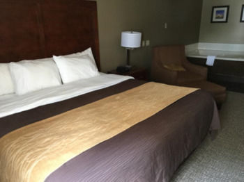 Hotel Comfort Inn & Suites