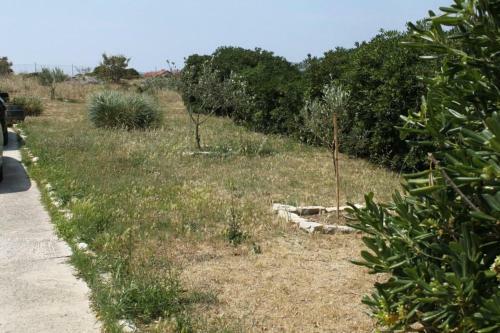 Apartment Povljana 224e