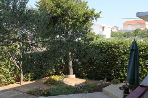 Apartments With A Parking Space Povljana (pag) - 6468