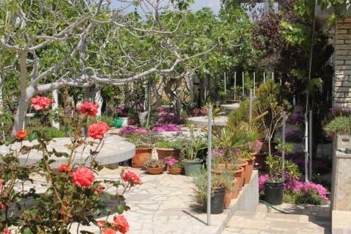 Hostal Quadruple Room Povljana 6476c