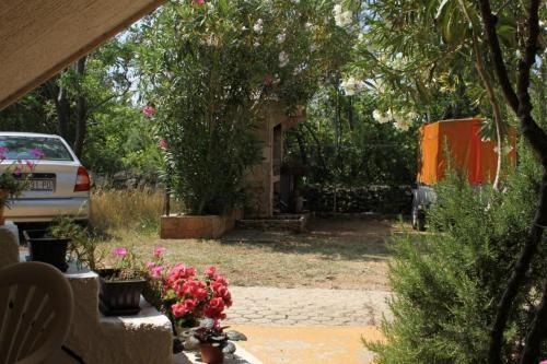Apartment Povljana 227d