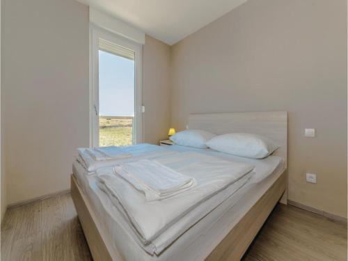 Apartment Povljana With Sea View II