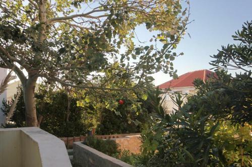 Apartments With A Parking Space Povljana (pag) - 9353