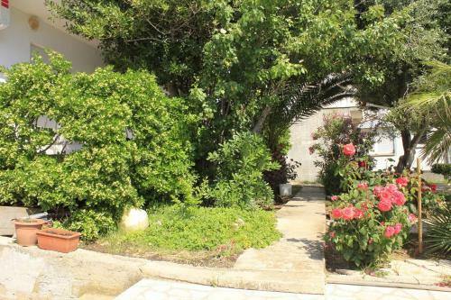 Apartments Branko