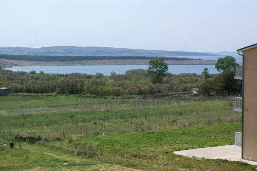 Apartment Povljana 229b