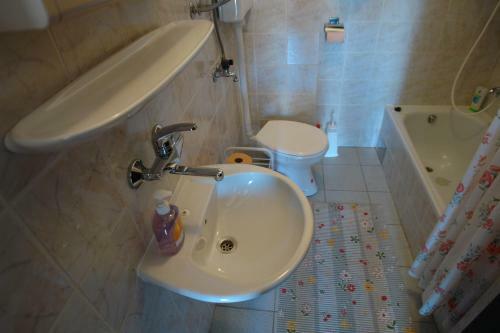Apartments Romana