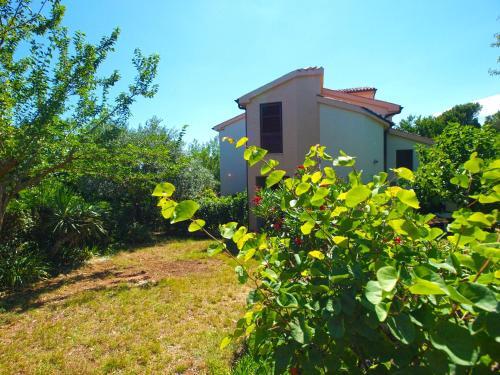 Apartments Liljana 1693