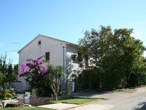 Apartment Branka