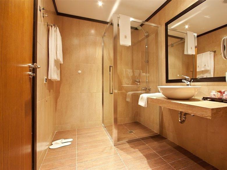 Best Western Plus Bristol Hote