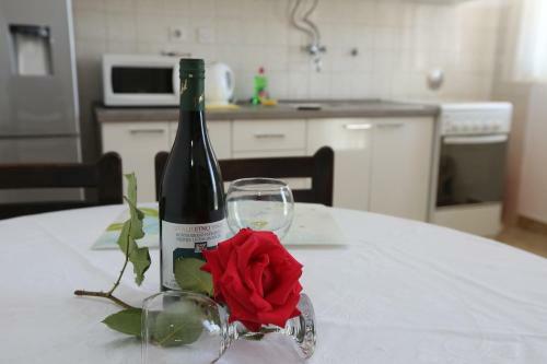 Apartment Davorka