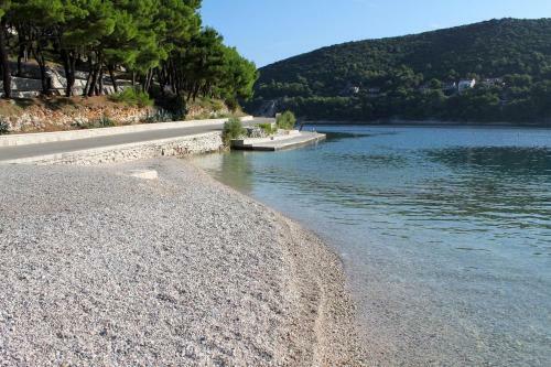 Apartments By The Sea Pucisca (brac) - 2927