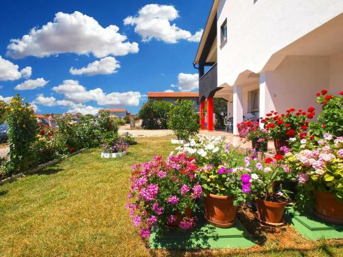 Apartment Darko 1439