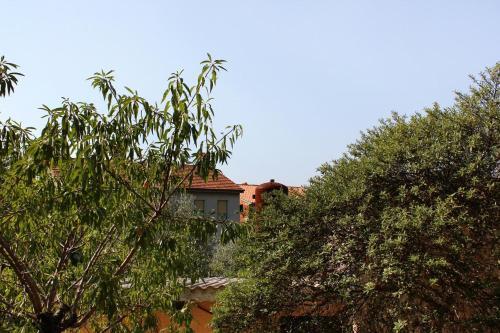 Apartments With A Parking Space Banjole (pula) - 2213