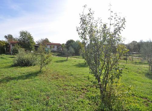 Holiday Home In Pula/istrien 17488