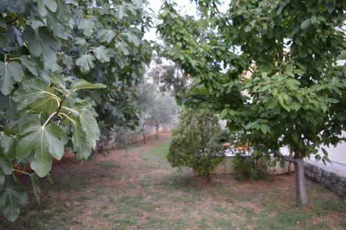 Apartment Punat 16307b