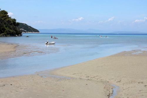 Apartments By The Sea Kampor (rab) - 12473
