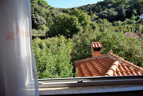 Apartamento Vicky Accommodation