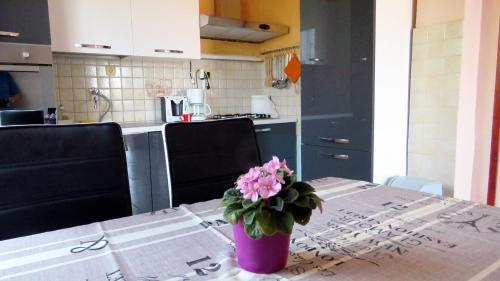 Apartments With A Parking Space Barbat (rab) - 4988