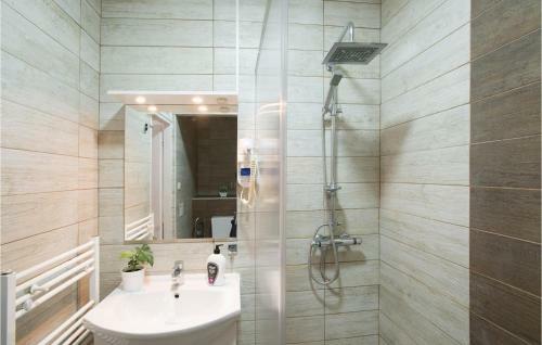 One-bedroom Apartment In Rakovica