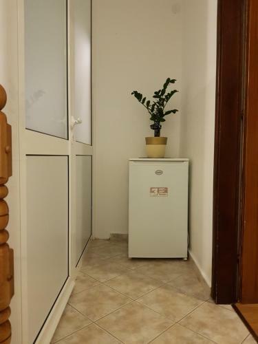 Hostal House Jure