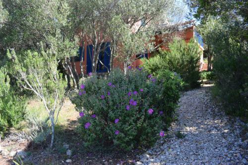 Agroturismo Dove's House