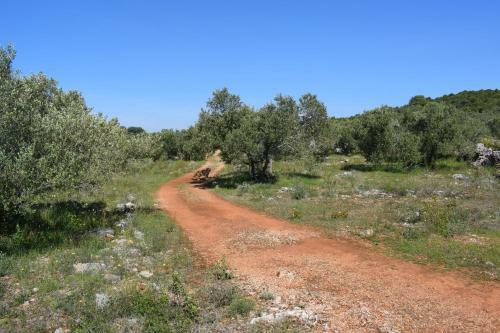 Agroturismo Dove's House