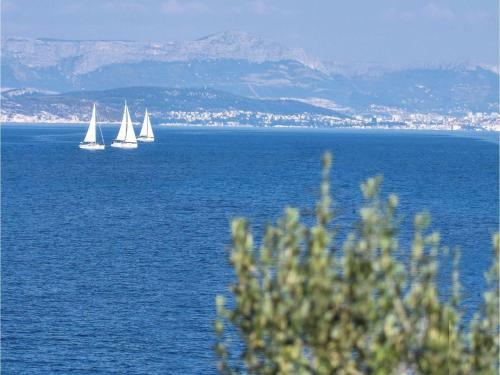 Two-bedroom Apartment In Dogac