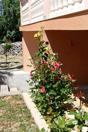 Apartamentos Studio Rovanjska 6209a