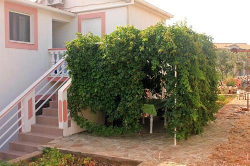 Apartments With A Parking Space Sali (dugi Otok) - 908