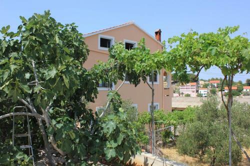 Apartments By The Sea Sali (dugi Otok) - 8121