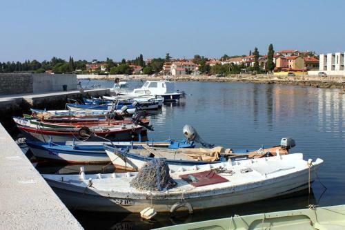 Apartment Zambratija 7141c