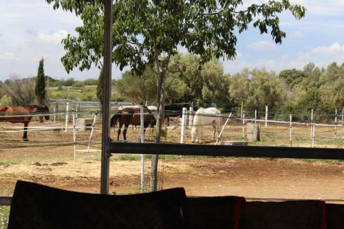 Rocaplana Club De Campo