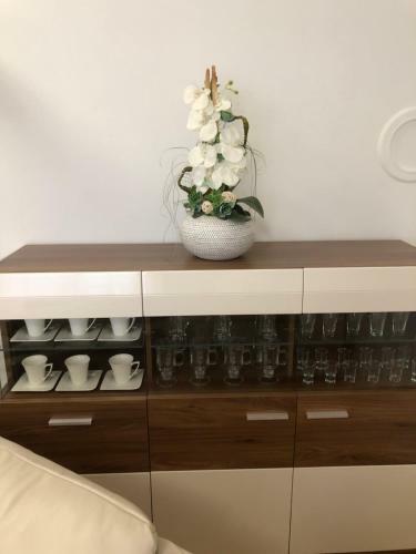 Apartman Renata