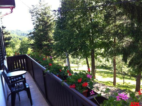 Hostal Apartments & Rooms Renata