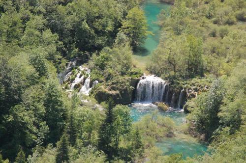 Hostal House Mirjana