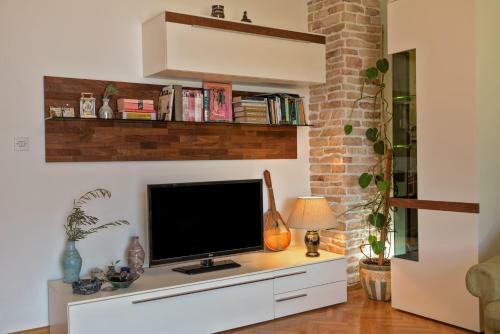 Apartment Viki